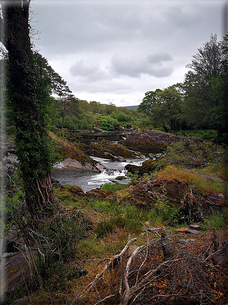 foto Parco di Killarney